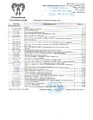 Терапевтический приём